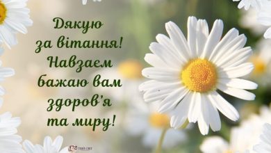 красивые слова благодарности