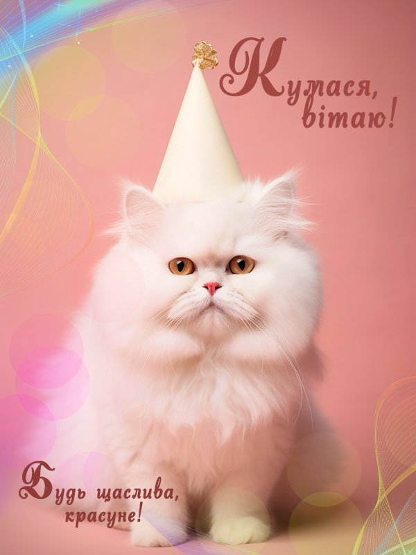 кума прикольные картинки кума с днем рождения кума с днем рождения