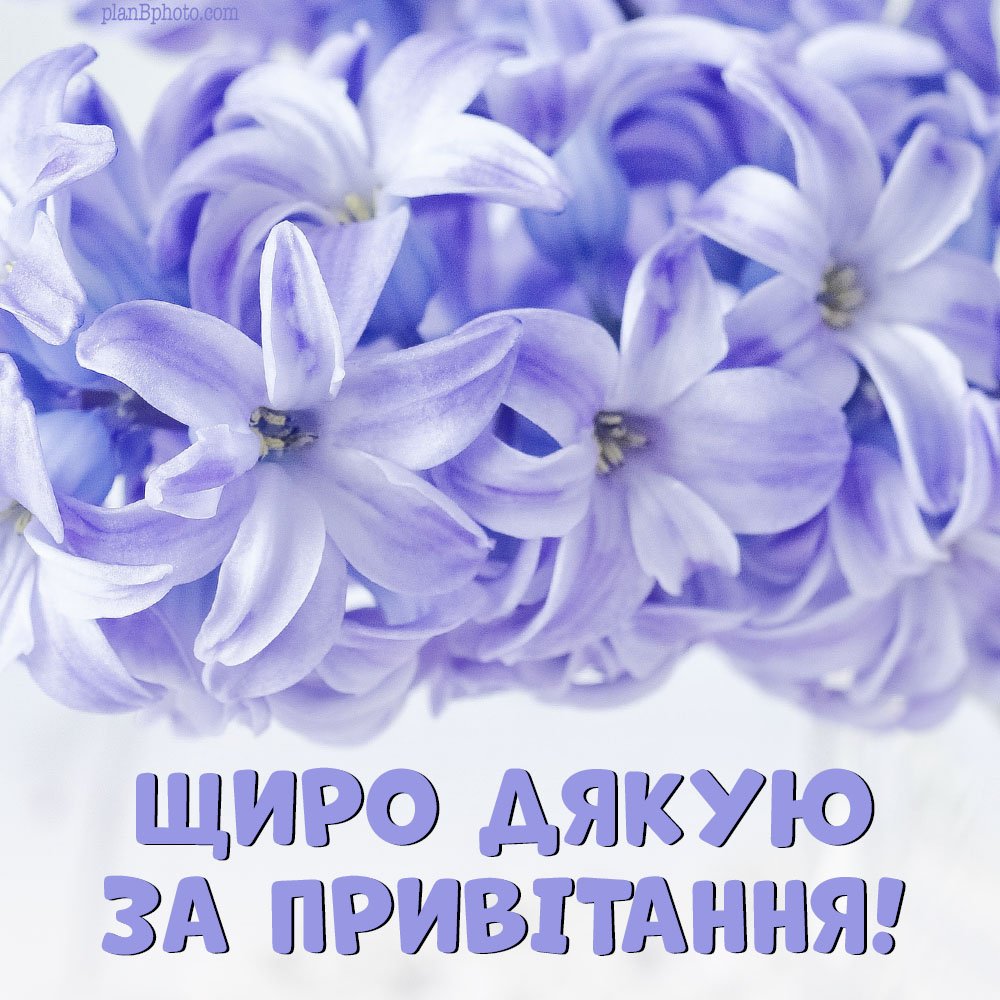 подякувати за привітання