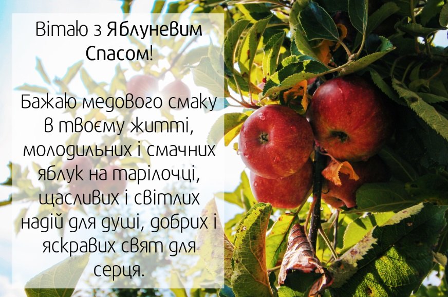 преображення господнє привітання з яблучним спасом