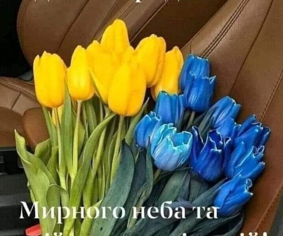 з днем народження патріотичні