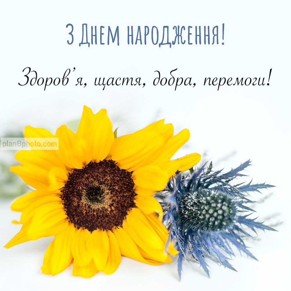 с днем рождения патриотические